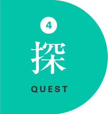 探 QUEST